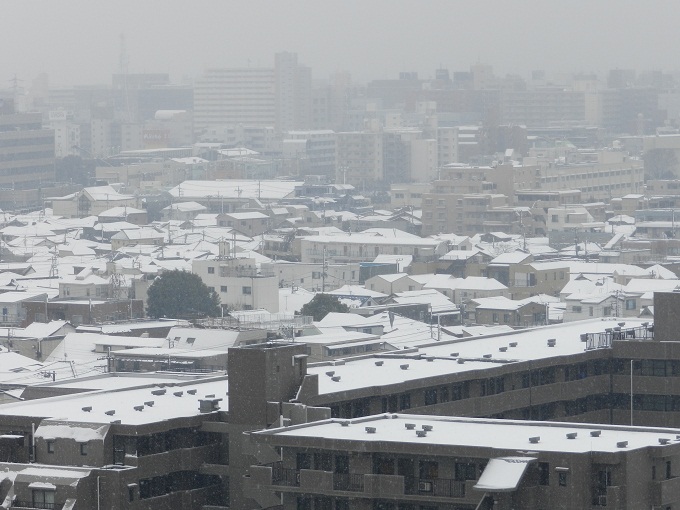 横浜は雪_b0089568_13555092.jpg