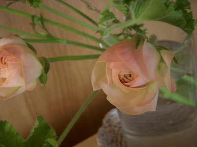 b0111970_1715637.jpg