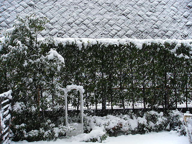 c0159577_16505812.jpg