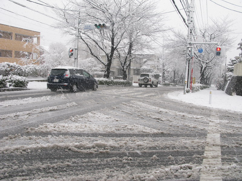 雪になりました_e0086880_10234623.jpg