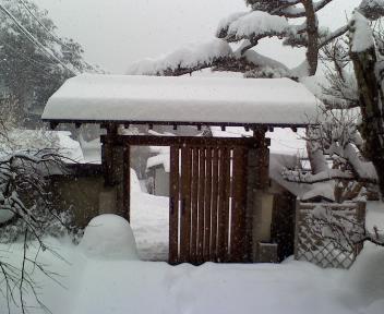 積雪あり‥なう!_f0125182_83185.jpg