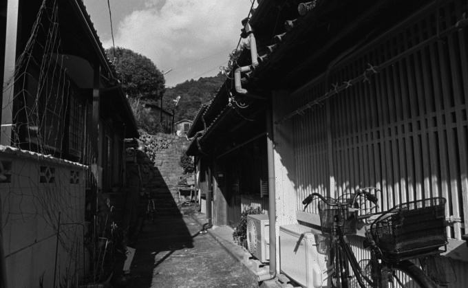 d0045383_1020386.jpg