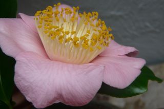 2012 年2月29日 ちょっとね。。。_b0098584_14242386.jpg