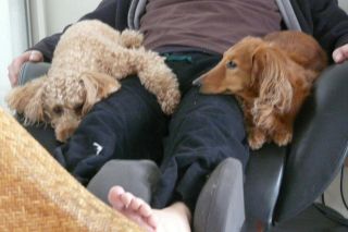 2012 年2月29日 ちょっとね。。。_b0098584_14272563.jpg