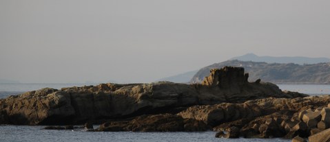 e0197884_19381844.jpg