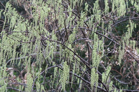 e0197884_19503068.jpg