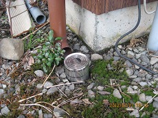 e0242084_2341286.jpg
