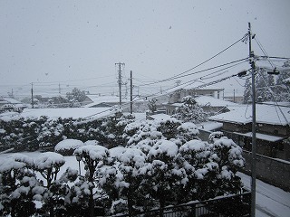 雪国？_a0219389_914510.jpg