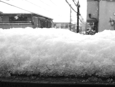 いり鶏の椎茸もどす春の雪_f0024090_16263257.jpg