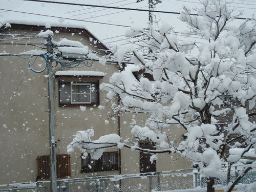 b0144891_22183991.jpg
