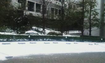 雪。_c0186393_19493189.jpg