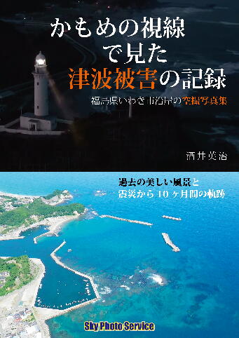 「かもめの視線で見た津波被害の記録」_e0068696_20383899.jpg