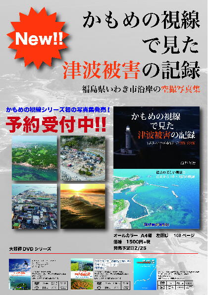 「かもめの視線で見た津波被害の記録」_e0068696_20385787.jpg