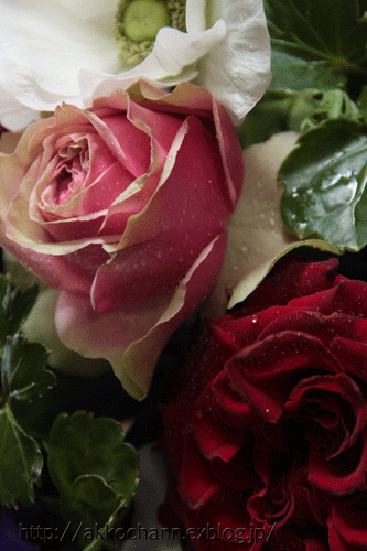 f0128096_23315420.gif