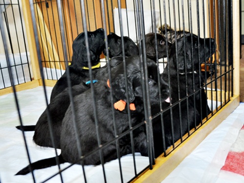 京都へ・・・ _f0176499_4193995.jpg