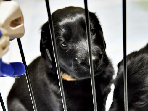 京都へ・・・ _f0176499_4195047.jpg