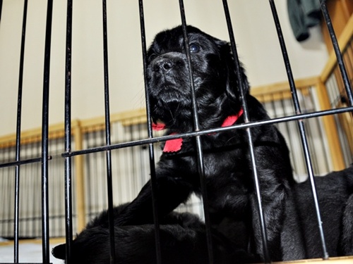 京都へ・・・ _f0176499_4202998.jpg