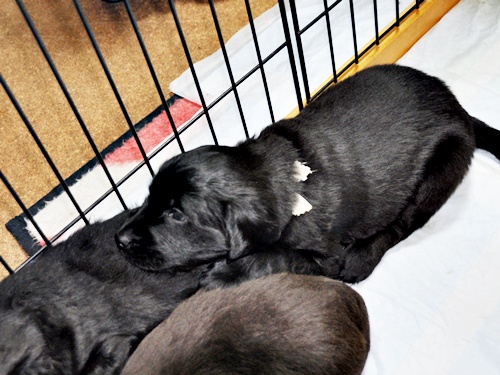 京都へ・・・ _f0176499_4205719.jpg