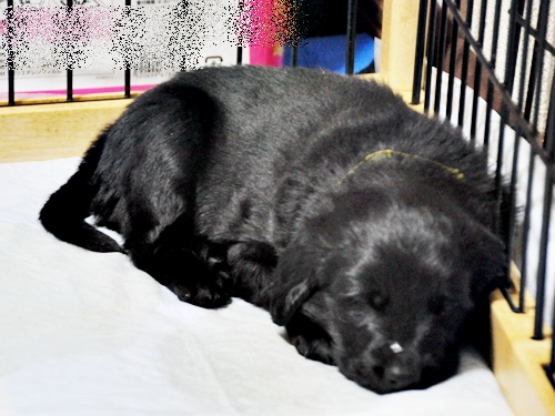 京都へ・・・ _f0176499_4211951.jpg