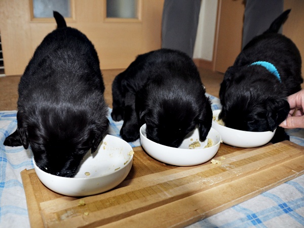 京都へ・・・ _f0176499_4273396.jpg