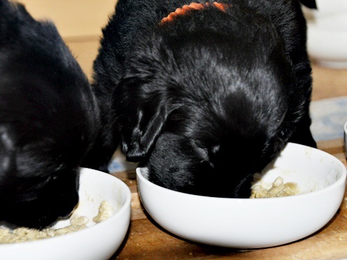 京都へ・・・ _f0176499_4292087.jpg