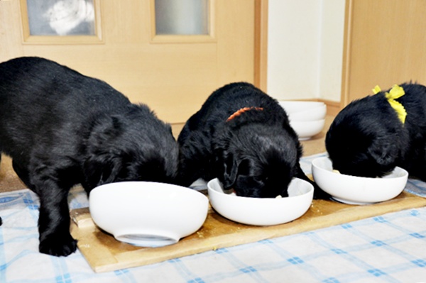 京都へ・・・ _f0176499_429458.jpg