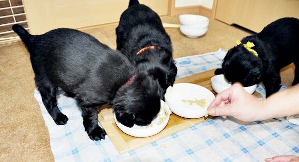 京都へ・・・ _f0176499_43013100.jpg