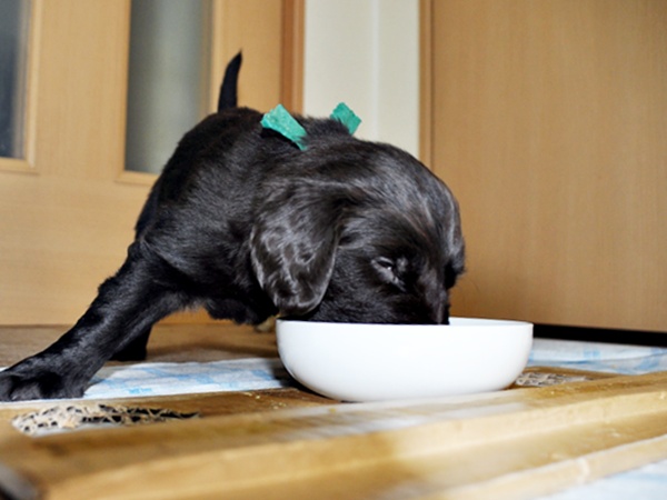 京都へ・・・ _f0176499_4452910.jpg