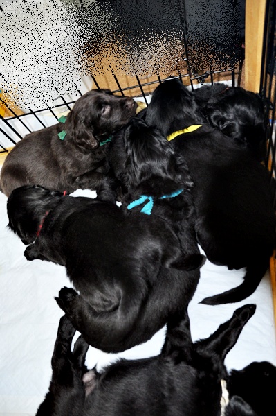 京都へ・・・ _f0176499_4481117.jpg