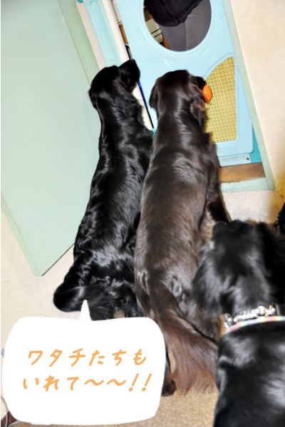 京都へ・・・ _f0176499_4514558.jpg