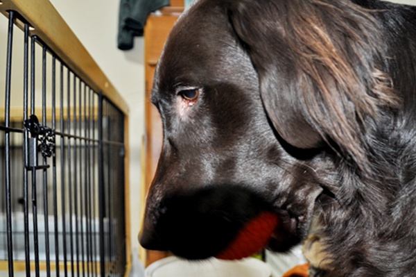 京都へ・・・ _f0176499_4524724.jpg