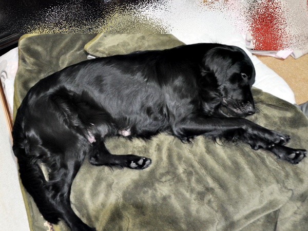 京都へ・・・ _f0176499_452965.jpg