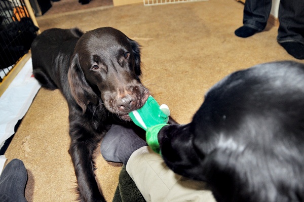 京都へ・・・ _f0176499_4543132.jpg