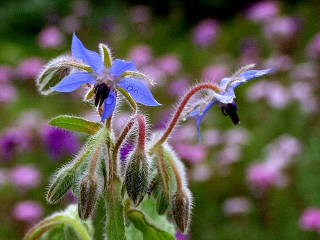 c0008502_22545366.jpg