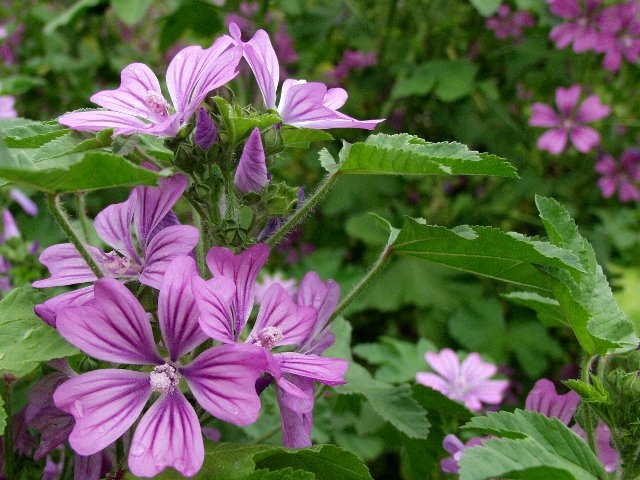 c0008502_22581720.jpg