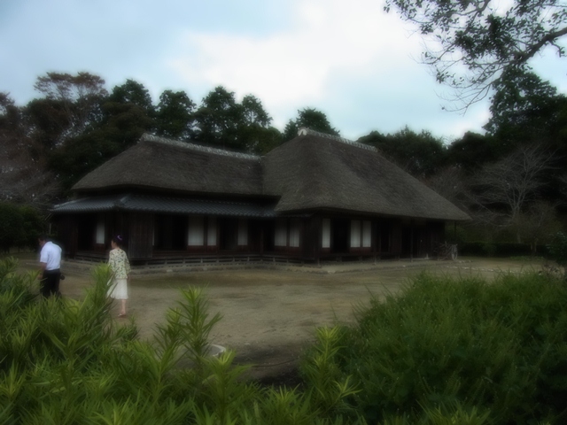 d0116804_022523.jpg