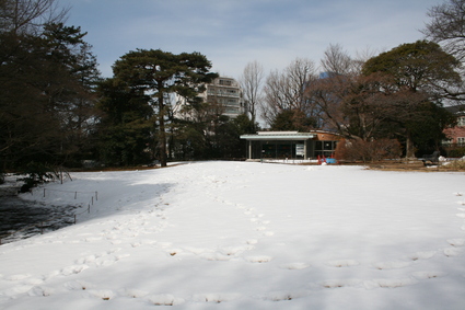 すみればの雪景色_b0049307_13512257.jpg