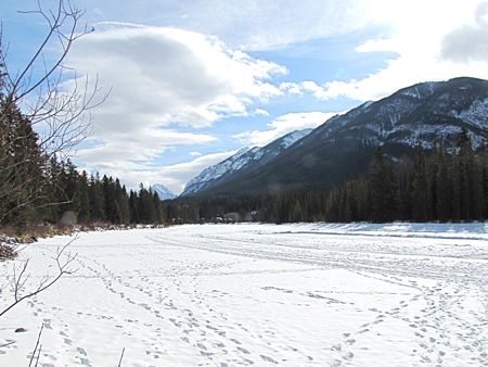 b0051109_9121425.jpg