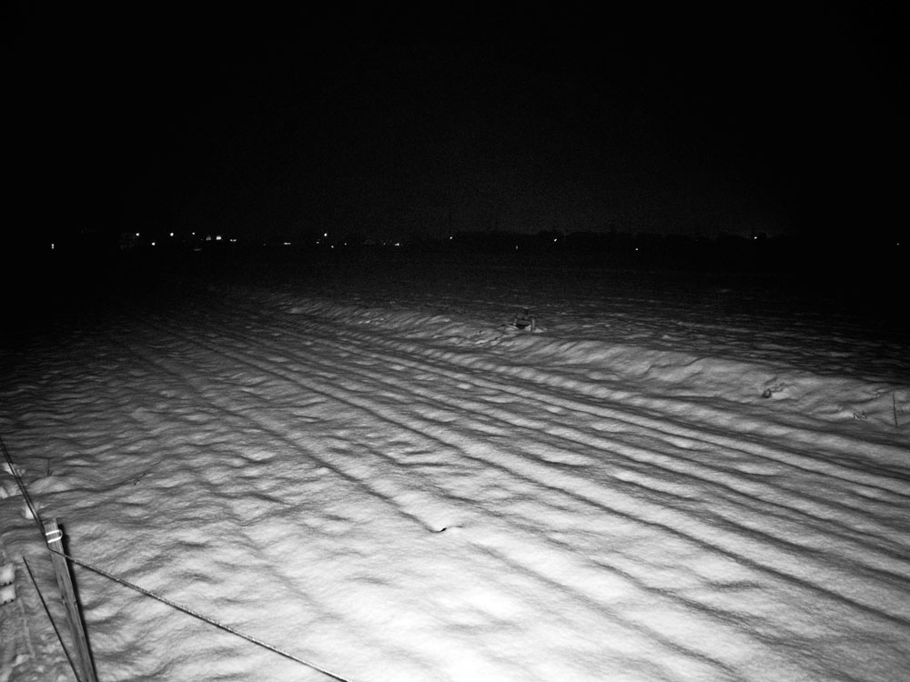 e0004009_1563988.jpg