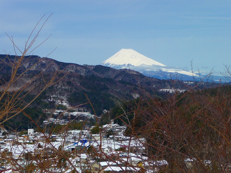 f0182513_1731845.jpg