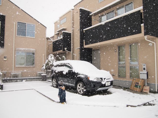 東京大雪_a0151615_232016.jpg