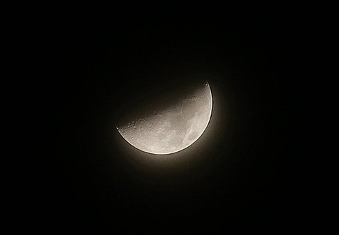 moon age : 7.5-7.6 ... half moon_a0260019_04834.jpg