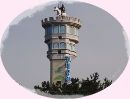 a0115924_16451981.jpg
