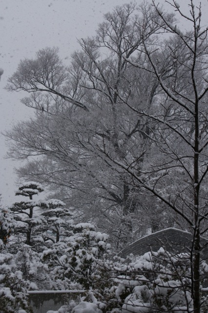 大雪の閏日_e0021328_1721178.jpg