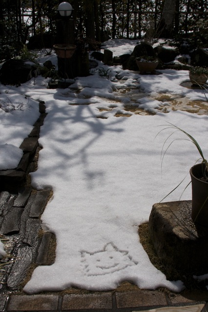 大雪の閏日_e0021328_18335415.jpg