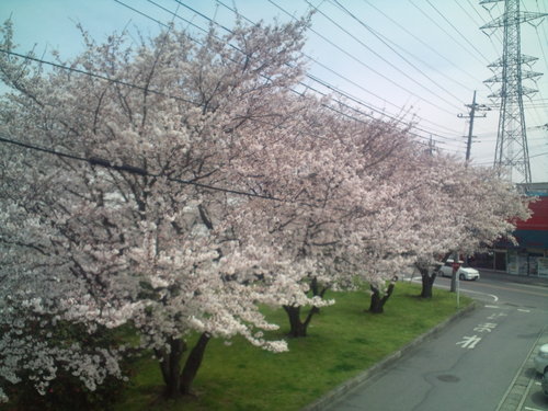 b0196830_1818832.jpg