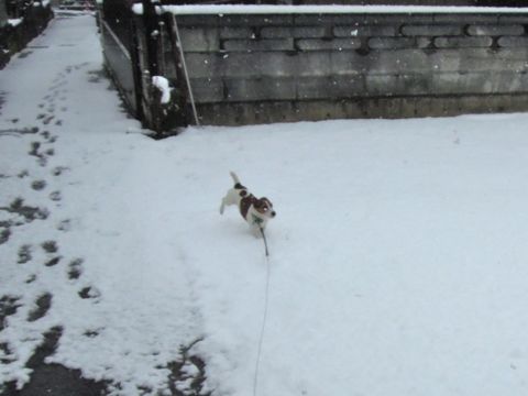 e0206433_1182510.jpg