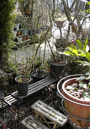 a0243143_18375212.jpg