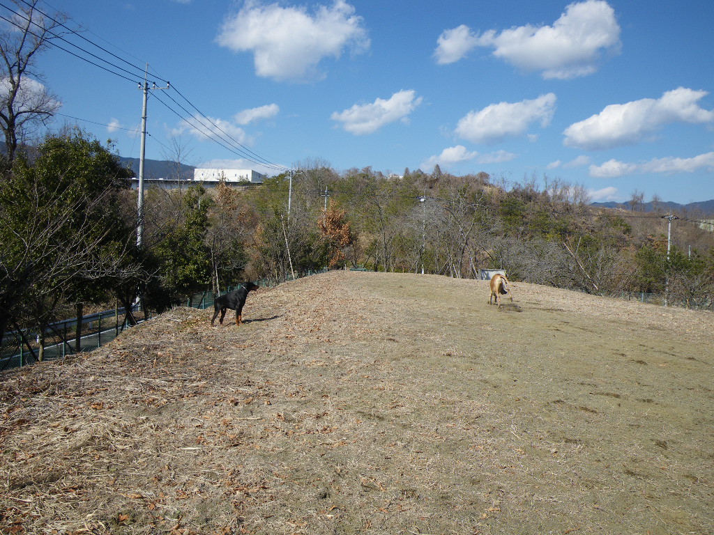 帝京科学大学へ_f0185743_2133415.jpg