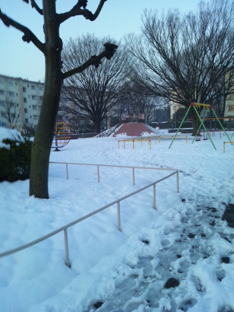 やすぼんさんの ＜春を告げる東京の雪のレポート＞_c0011649_842624.jpg